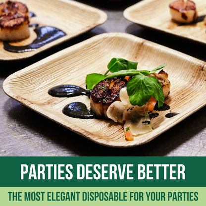 Disposable Palm Leaf Plates 10"x 10" | 50 Pcs Bulk